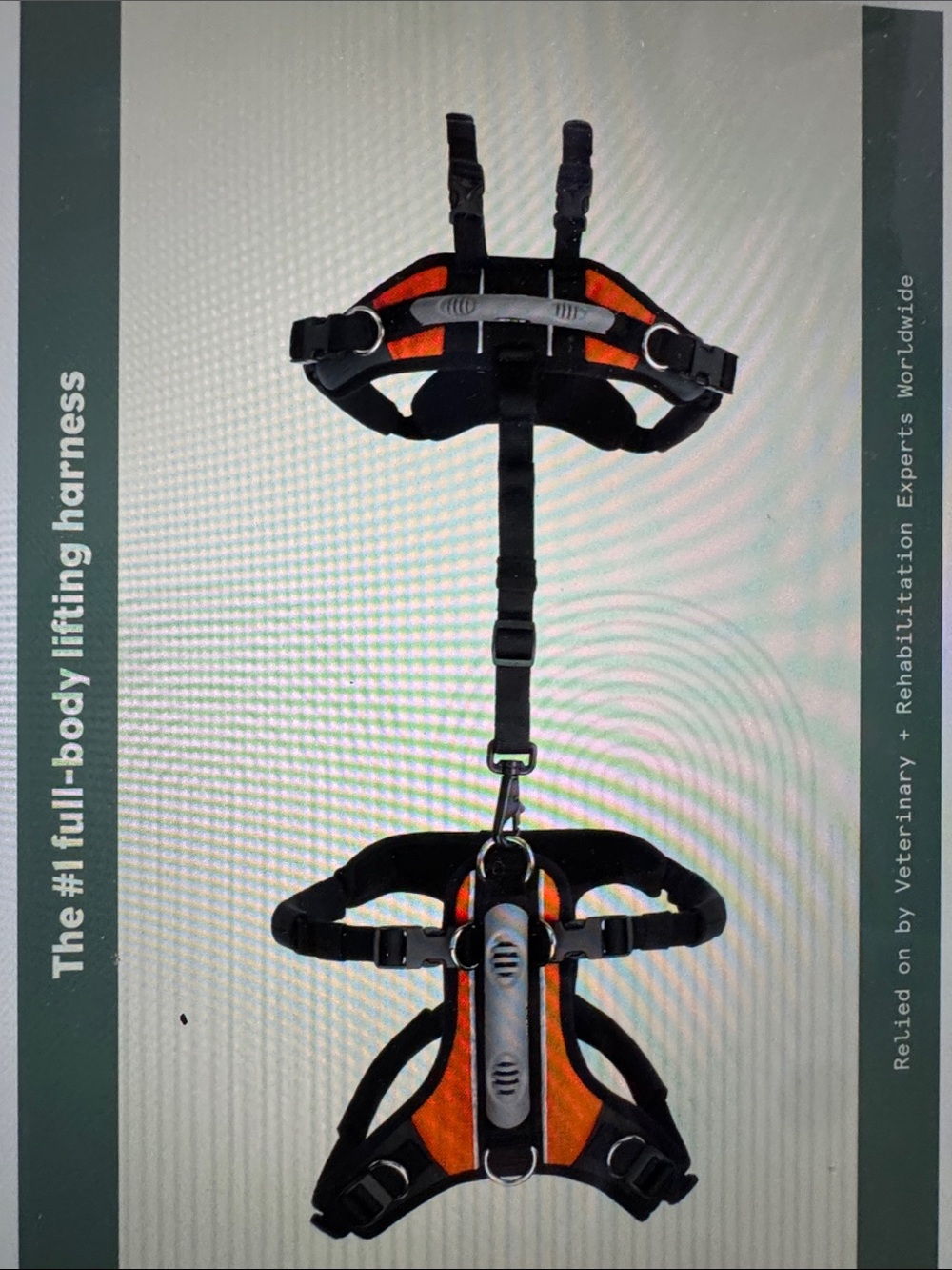 Help’em Up dog harness - Medium - Picture 3 of 4